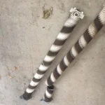 garage door spring repair Short Pump